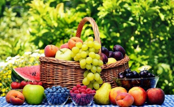 Удобрения для фруктов и ягод