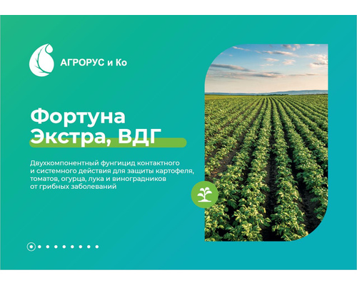 Фортуна Экстра, ВДГ (Манкоцеб, 640 г/кг + мефеноксам 40 г/кг). Мешок 10 кг.