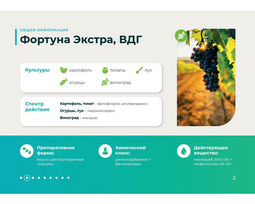 FortunaExtra_general_information