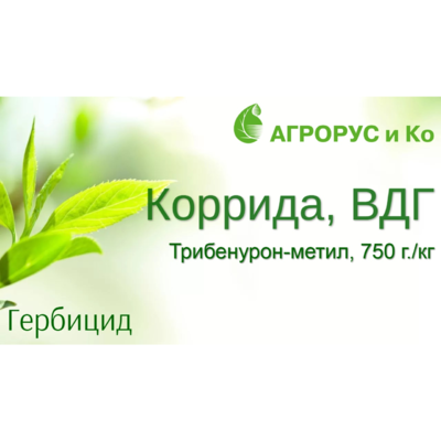 Коррида, ВДГ (трибенурон-метила 750 г/кг). Флакон 0,1кг.