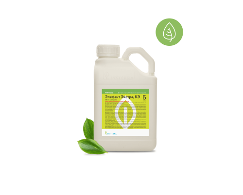 Элефант Экстра, КЭ (клетодима 360 г/л). Канистра 5л.